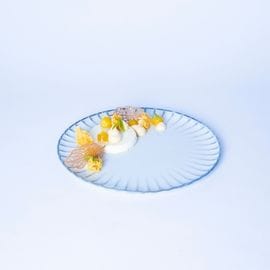 Sitruuna verbena panna cotta, rapeaa mangokakkua ja mangoa Sitruuna verbena panna cotta, rapeaa mangokakkua ja mangoa