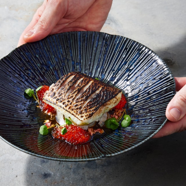 Glaseerattua ja hiillostettua taimenta merilevämajoneesilla