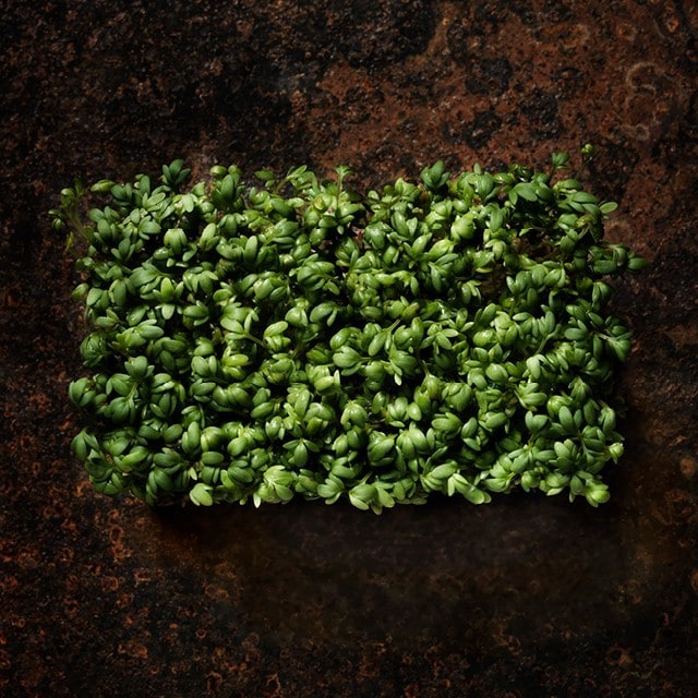 Itu – pieni ravinnepommi valmiina räjähtämään