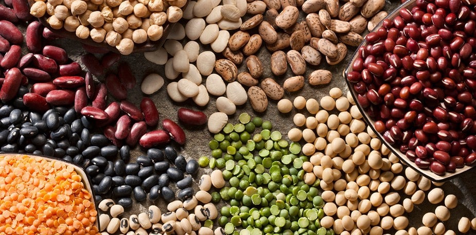 Pavut ja linssit – luonnon supersankarit