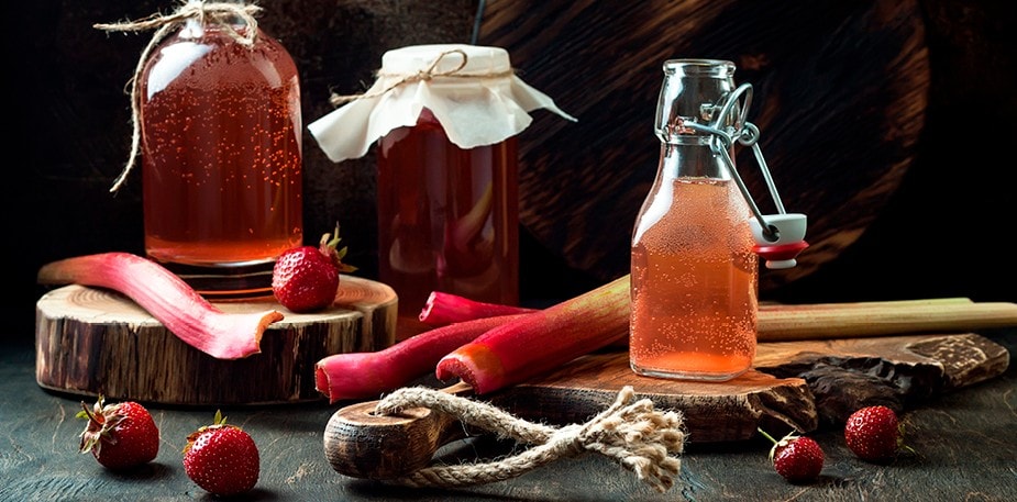 Kombuchaa aloittelijoille