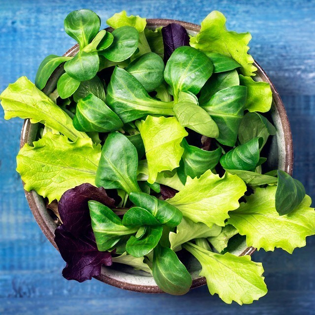 Salaattia pitkän kaavan mukaan