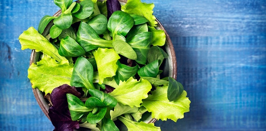 Salaattia pitkän kaavan mukaan