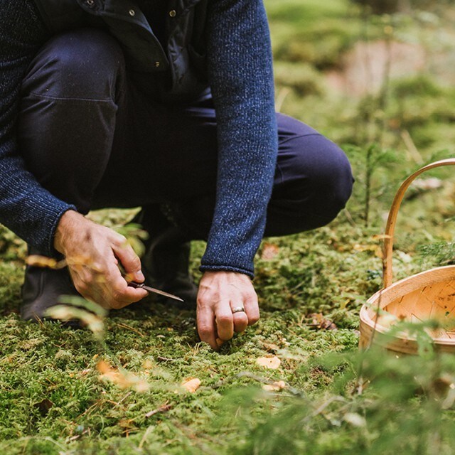 Poimi villistä luonnosta – nauti metsän rauhasta