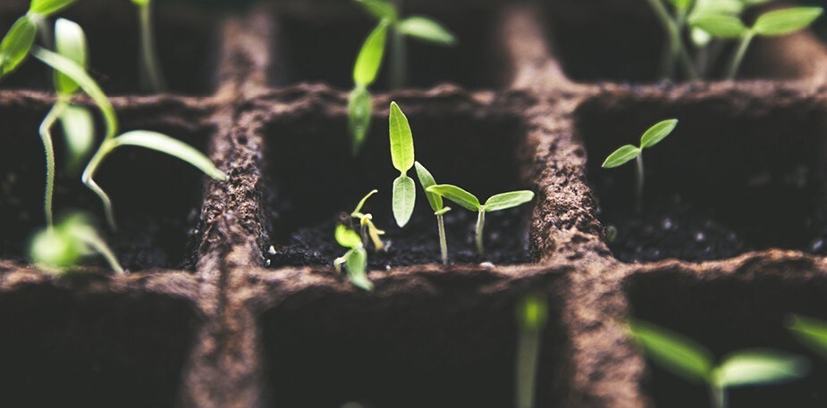 Rakenna oma maustetarhasi