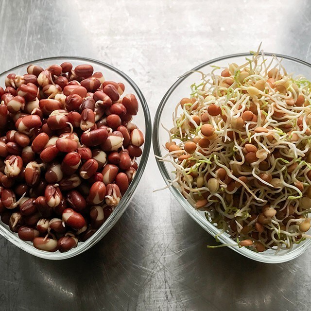 Idätä Martinan kanssa!