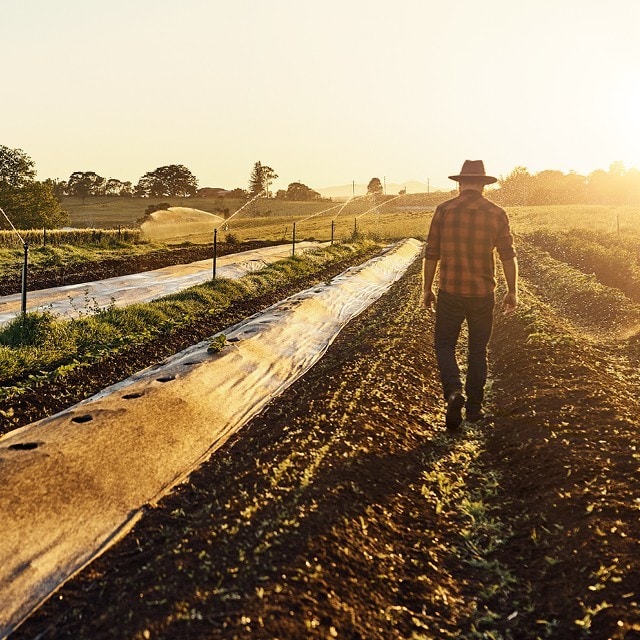 Luonnon monimuotoisuus