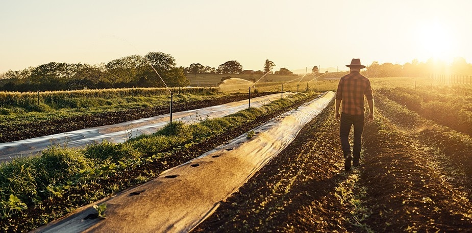 Luonnon monimuotoisuus