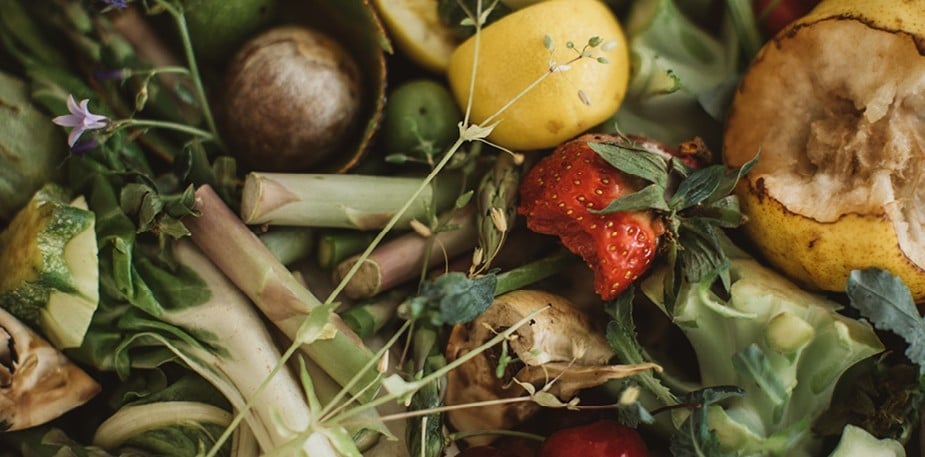 Elintarvikejärjestelmä vaatii kestävää kehitystä