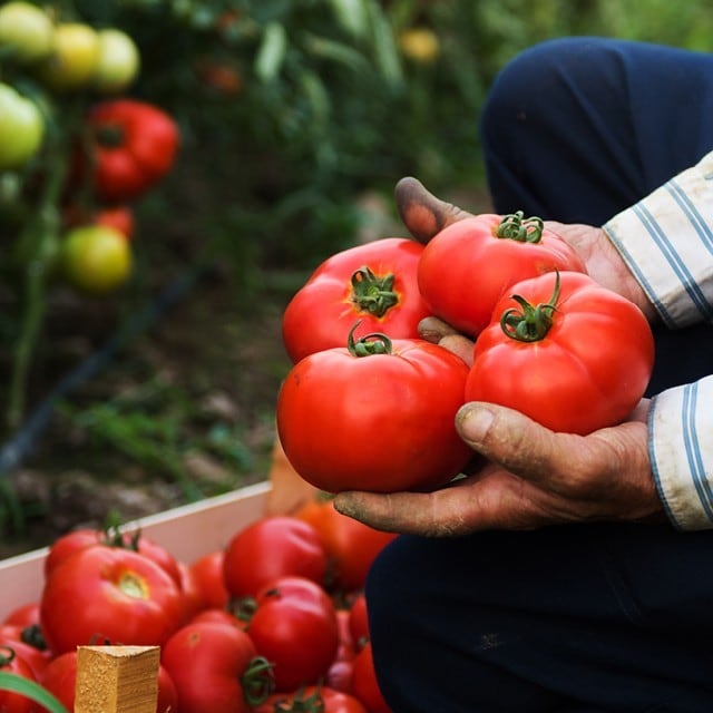 Kestävän kehityksen tärkeys