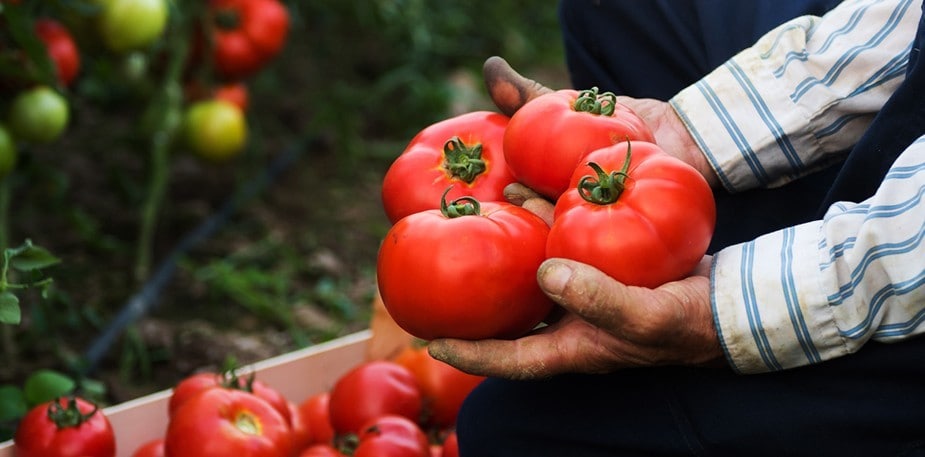 Kestävän kehityksen tärkeys