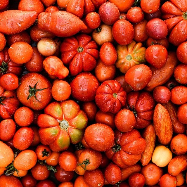 ”Nyt on elintarvikealalla näytön paikka!”