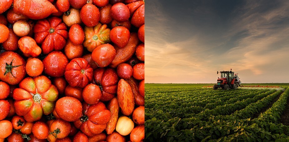 ”Nyt on elintarvikealalla näytön paikka!”