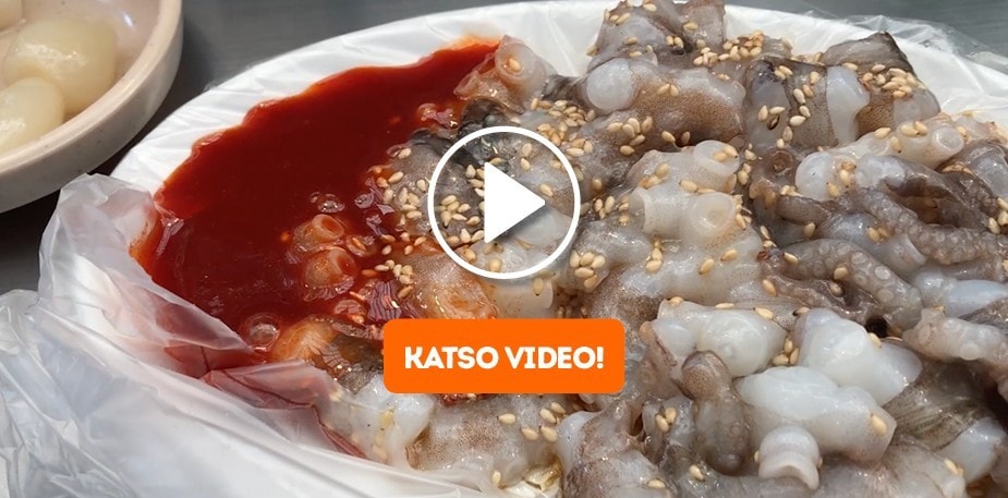 Katso videolta makumatka Etelä-Koreaan