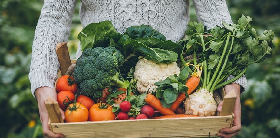 5 ruokaisaa vinkkiä kestävään liiketoimintaan! 