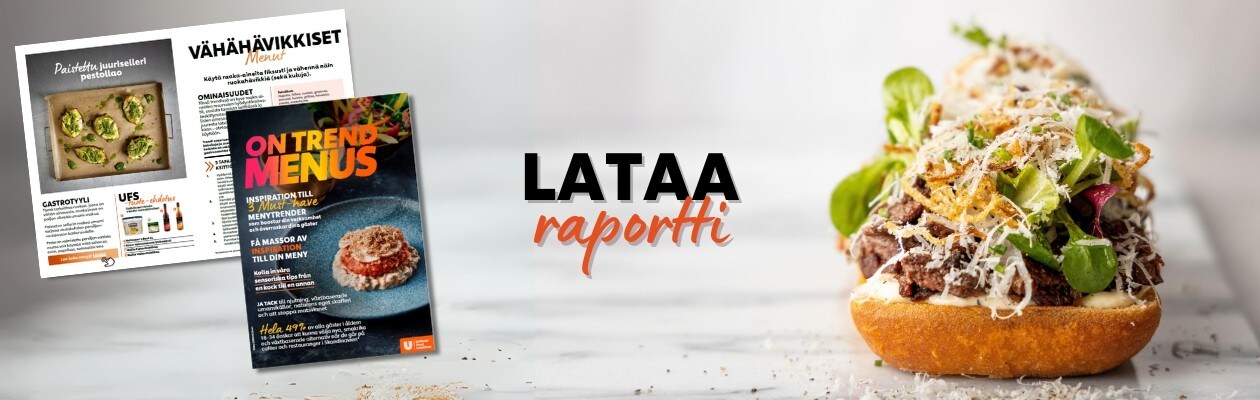 Lataa raportti